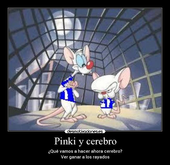 Pinki y cerebro -