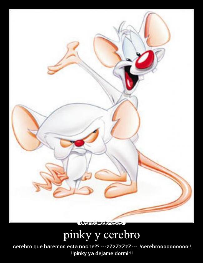 pinky y cerebro - cerebro que haremos esta noche?? ---zZzZzZzZ--- !!cerebroooooooooo!!
!!pinky ya dejame dormir!!