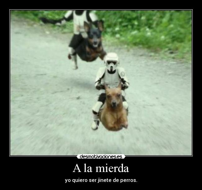 carteles datz35 desmotivaciones