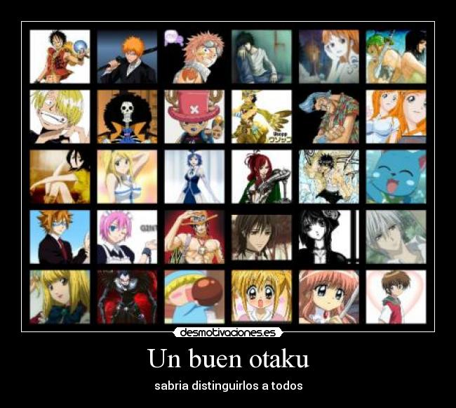 Un buen otaku -
