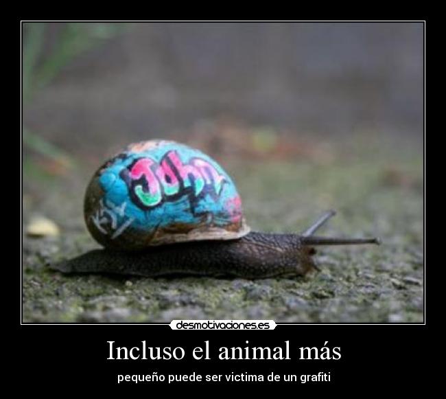 Incluso el animal más - pequeño puede ser victima de un grafiti