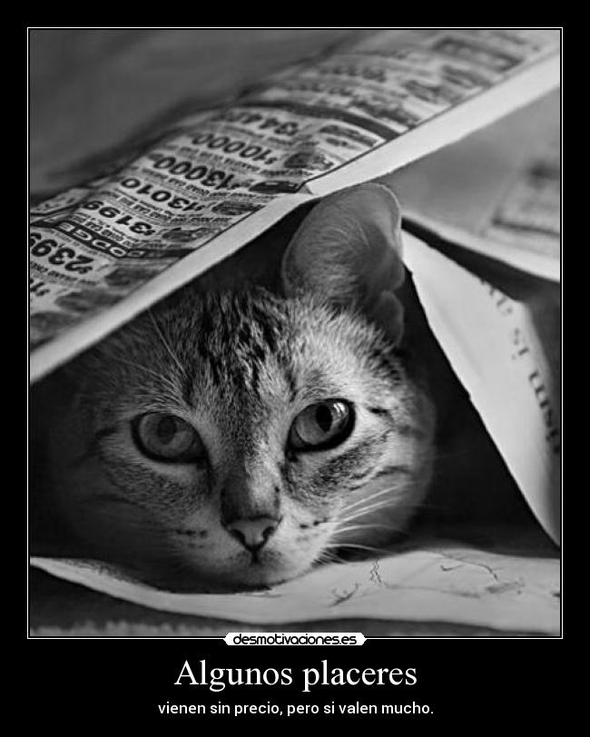 Algunos placeres - vienen sin precio, pero si valen mucho.