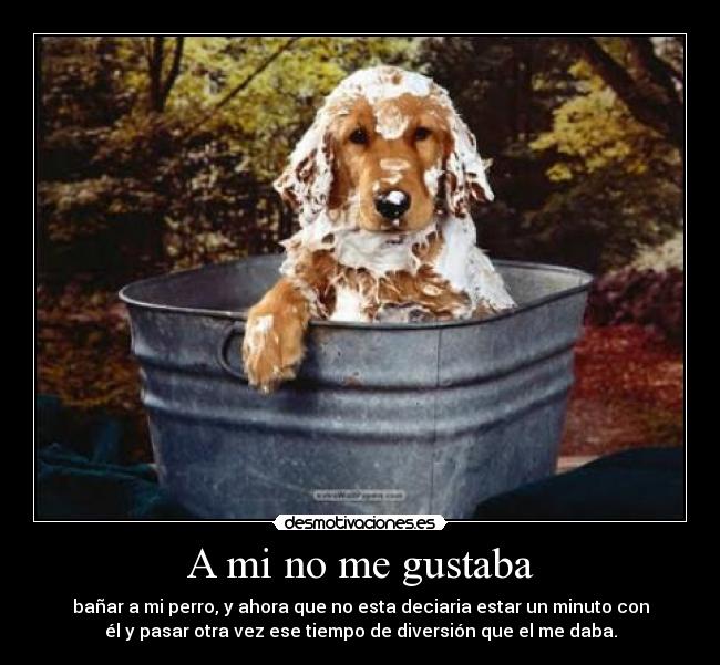 A mi no me gustaba -