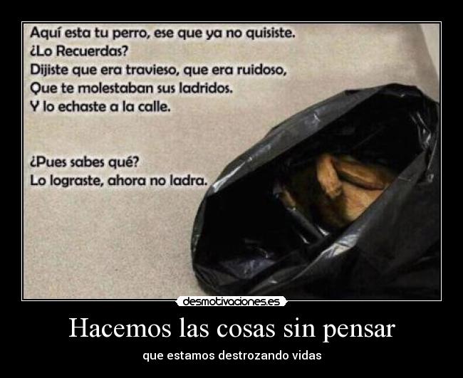 carteles maltrato animal desmotivaciones