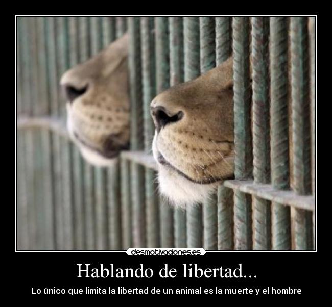 Hablando de libertad... -
