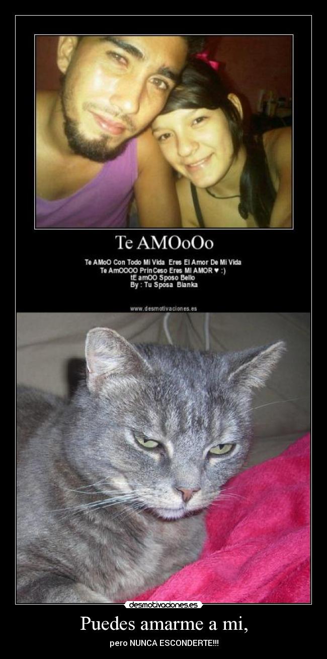 carteles por favor gatosdiles que voten negativo denuncia carteles tuenti desmotivaciones