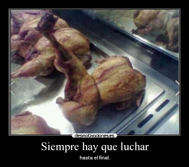 Siempre hay que luchar -