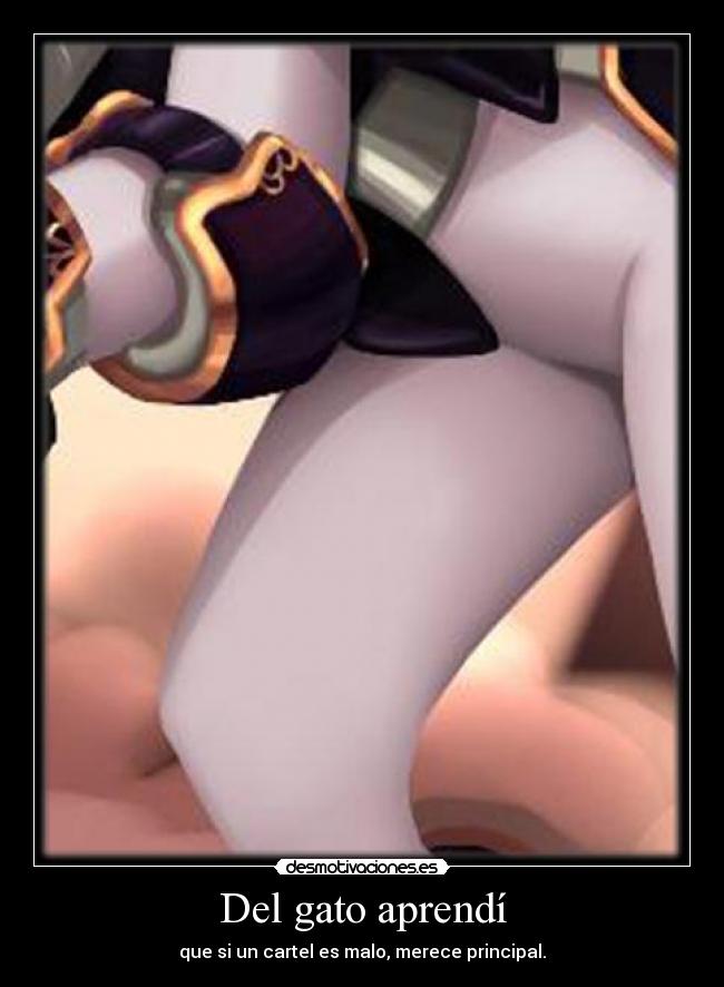 Del gato aprendà - que si un cartel es malo, merece principal.