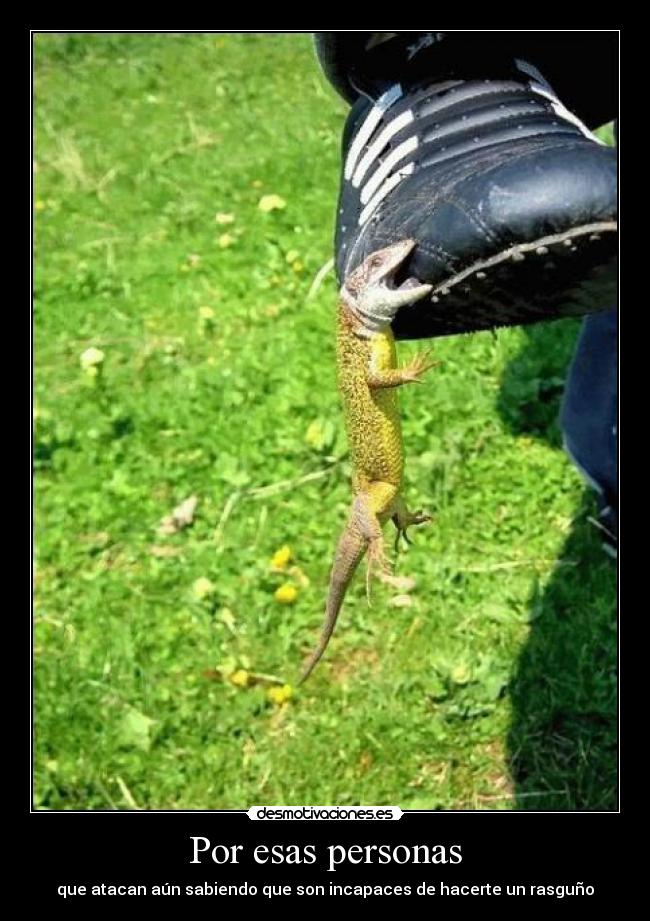 Por esas personas - que atacan aún sabiendo que son incapaces de hacerte un rasguño