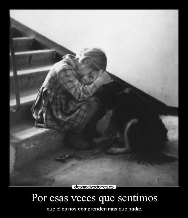 Por esas veces que sentimos -