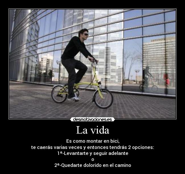 La vida - Es como montar en bici,
te caerás varias veces y entonces tendrás 2 opciones:
1º-Levantarte y seguir adelante
o
2º-Quedarte dolorido en el camino