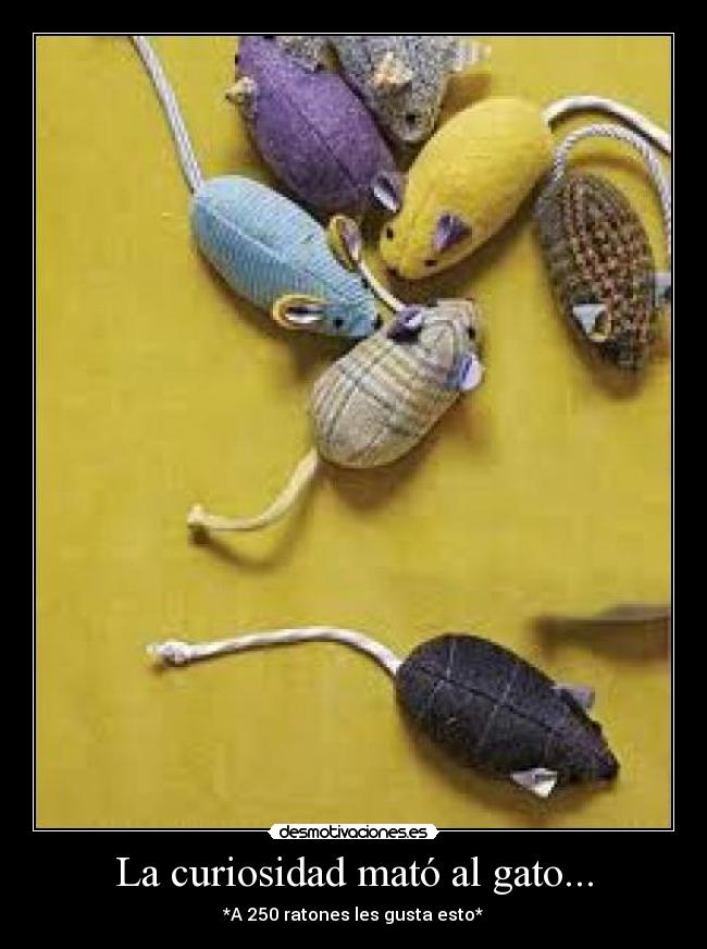 La curiosidad mató al gato... - *A 250 ratones les gusta esto*