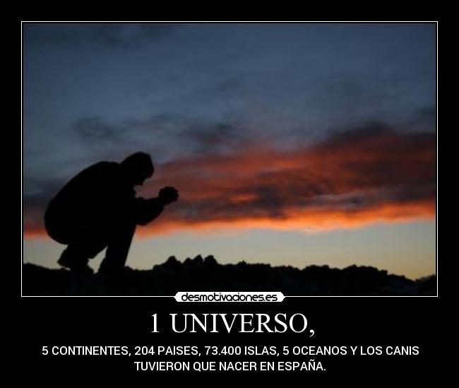 1 UNIVERSO, - 5 CONTINENTES, 204 PAISES, 73.400 ISLAS, 5 OCEANOS Y LOS CANIS
TUVIERON QUE NACER EN ESPAÑA.