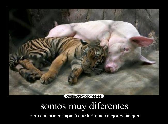 somos muy diferentes - pero eso nunca impidió que fuéramos mejores amigos