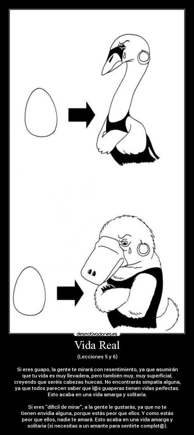 carteles vida vida real cuando ando falto ideas tomo prestadas las otros poniendo fuente mientras recuper desmotivaciones