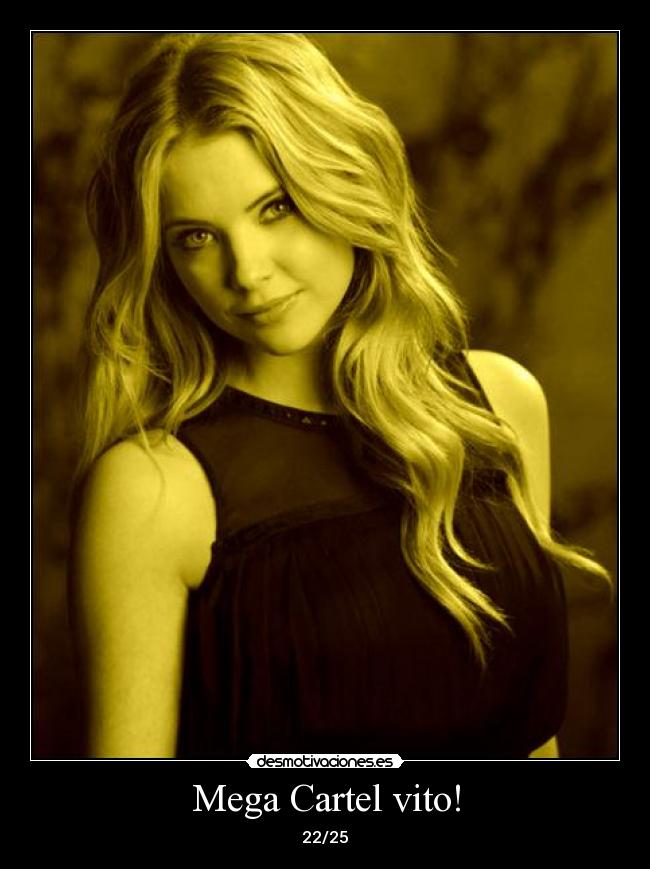 Mega Cartel vito! - 22/25