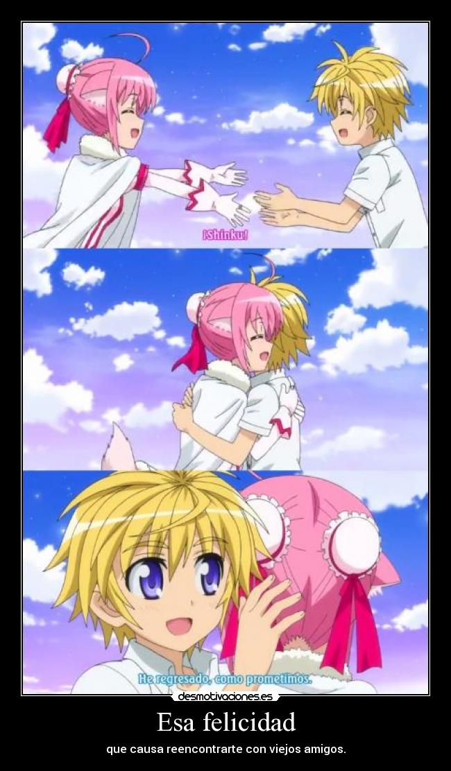 carteles felicidad raptorhunters nigatsu harukaze anime dog days reencuentro entre heroe princesa desmotivaciones