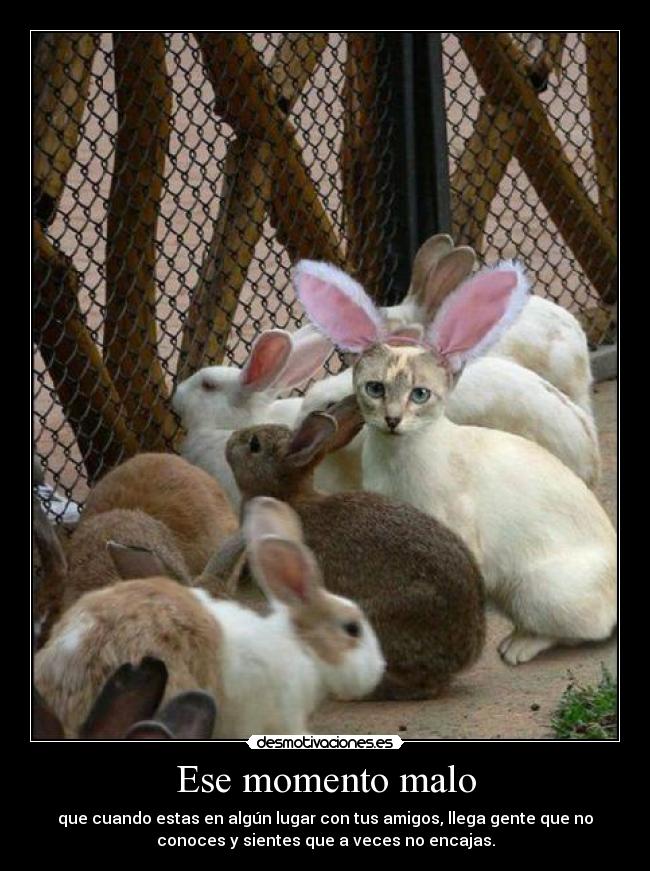 Ese momento malo - que cuando estas en algún lugar con tus amigos, llega gente que no
conoces y sientes que a veces no encajas.