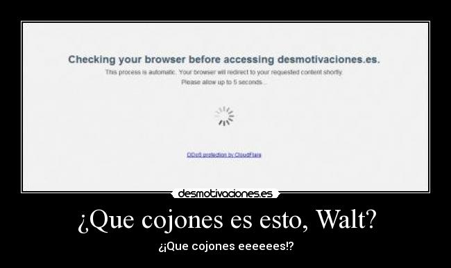¿Que cojones es esto, Walt? - ¿¡Que cojones eeeeees!?