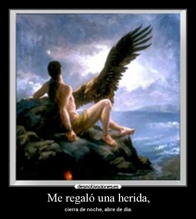 Me regaló una herida, - cierra de noche, abre de día.
