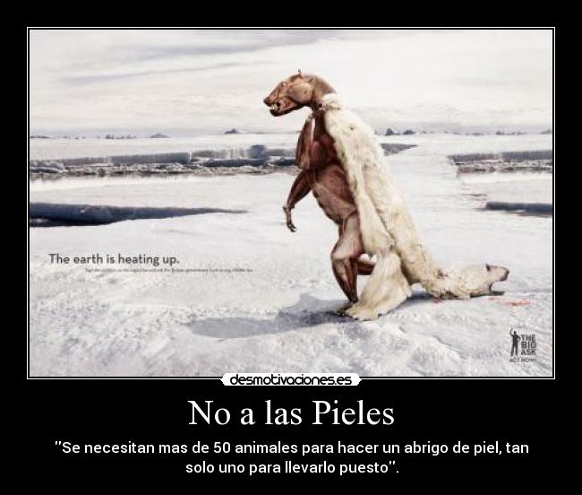 No a las Pieles - 