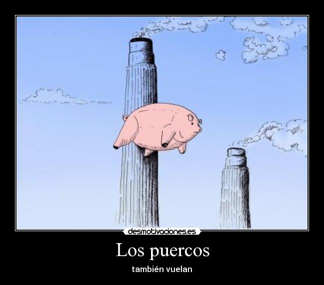 Los puercos - también vuelan