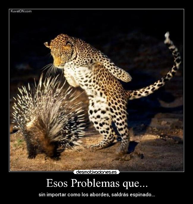 Esos Problemas que... - sin importar como los abordes, saldrás espinado...