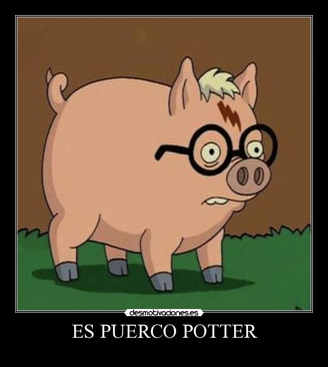 ES PUERCO POTTER -