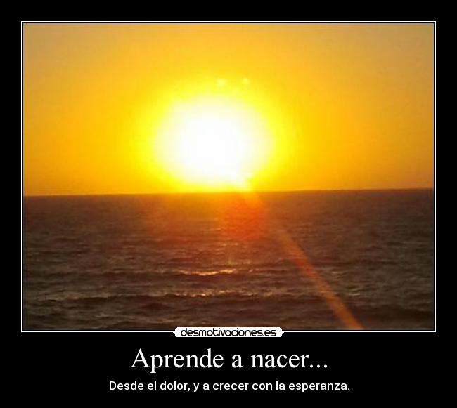 carteles aprender desmotivaciones