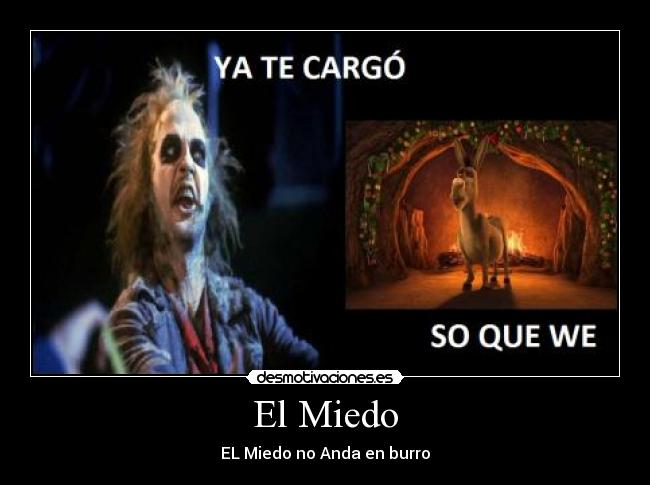 El Miedo - EL Miedo no Anda en burro