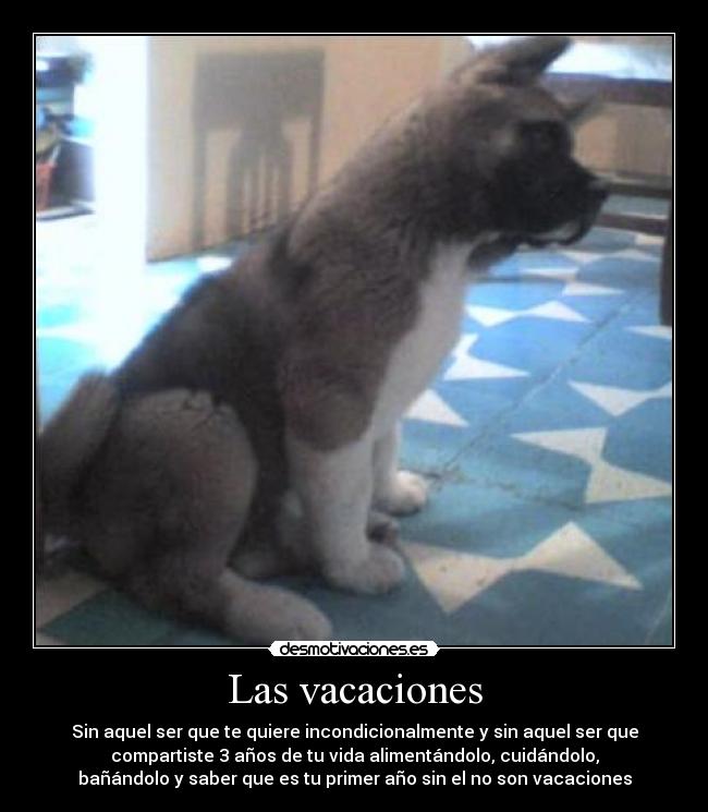 Las vacaciones - Sin aquel ser que te quiere incondicionalmente y sin aquel ser que
compartiste 3 años de tu vida alimentándolo, cuidándolo,
bañándolo y saber que es tu primer año sin el no son vacaciones