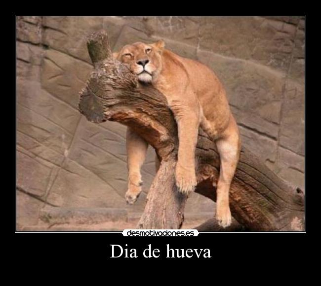 Dia de hueva -