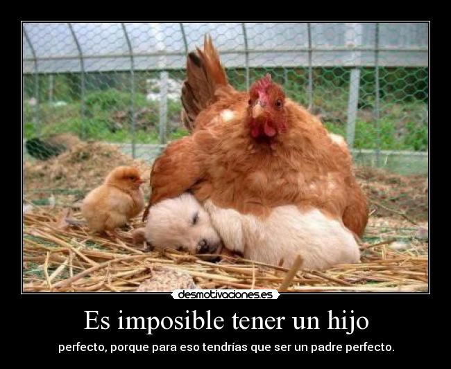 Es imposible tener un hijo - 