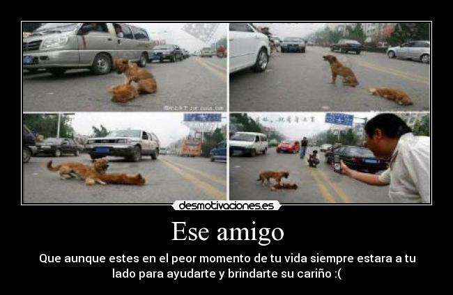 carteles que lindos desmotivaciones