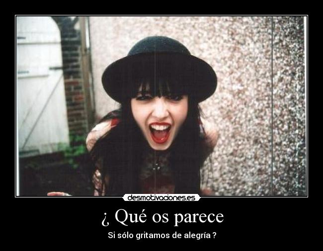 ¿ Qué os parece - 
