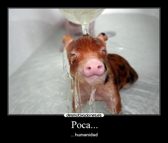 Poca... - 