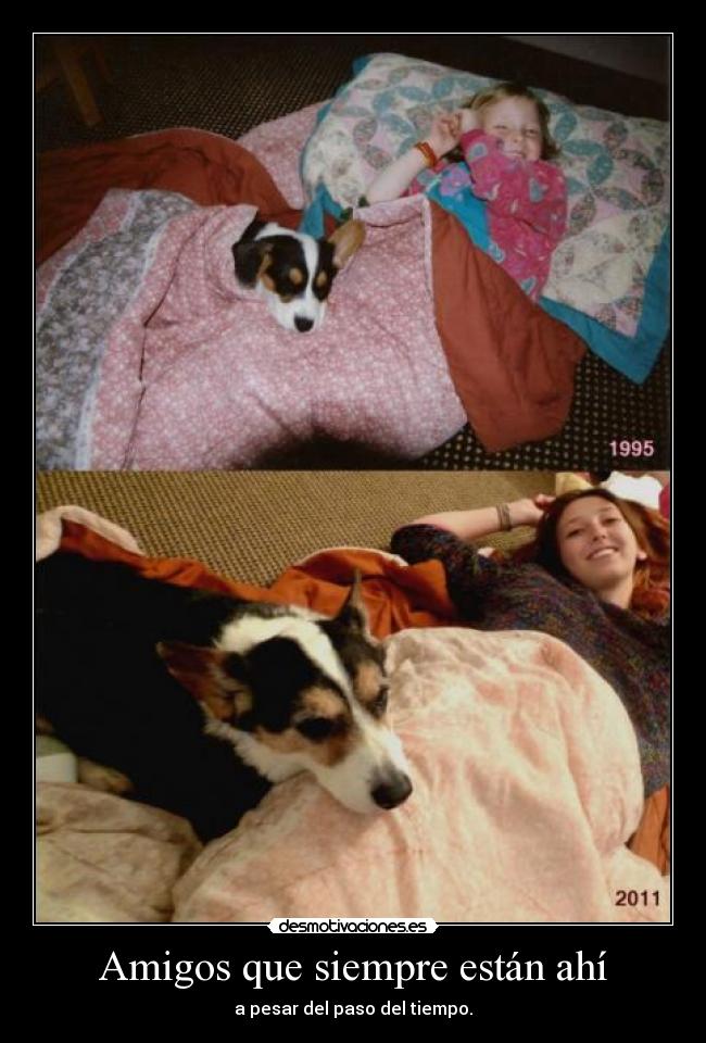 Amigos que siempre están ahí - a pesar del paso del tiempo.