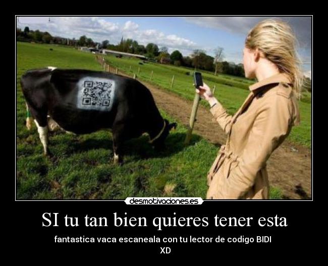 carteles gustan las vacas canea una desmotivaciones