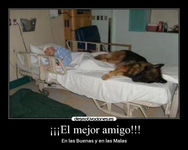 ¡¡¡El mejor amigo!!! - 