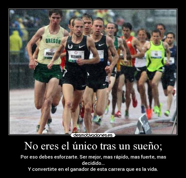 No eres el único tras un sueño; - Por eso debes esforzarte. Ser mejor, mas rápido, mas fuerte, mas decidido...
Y convertirte en el ganador de esta carrera que es la vida.