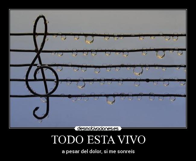 carteles vivo dolor sonreir problema duda todo mundo felicidad superar desmotivaciones