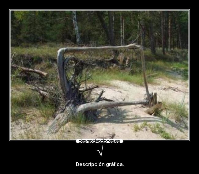 √ - Descripción gráfica.