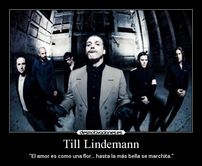 Till Lindemann - El amor es como una flor... hasta la más bella se marchita.