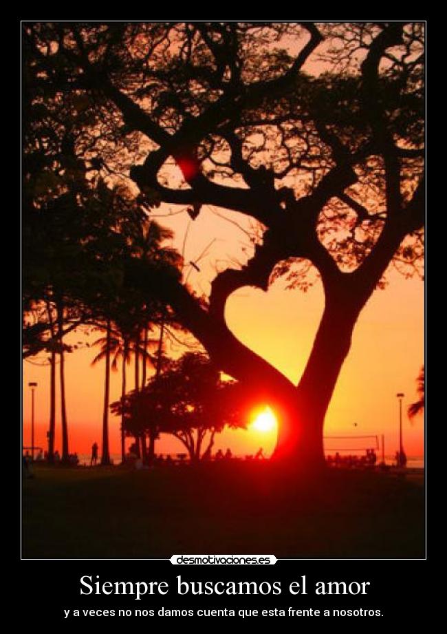 Siempre buscamos el amor - y a veces no nos damos cuenta que esta frente a nosotros.