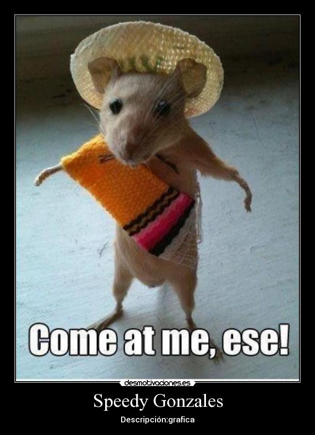 Speedy Gonzales - Descripción:grafica