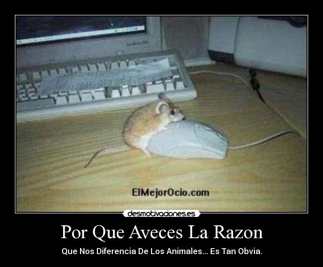 Por Que Aveces La Razon -