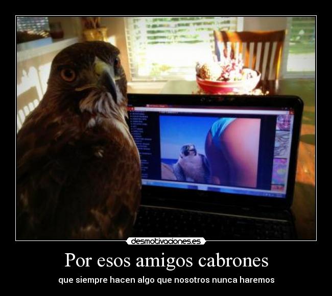 Por esos amigos cabrones - que siempre hacen algo que nosotros nunca haremos