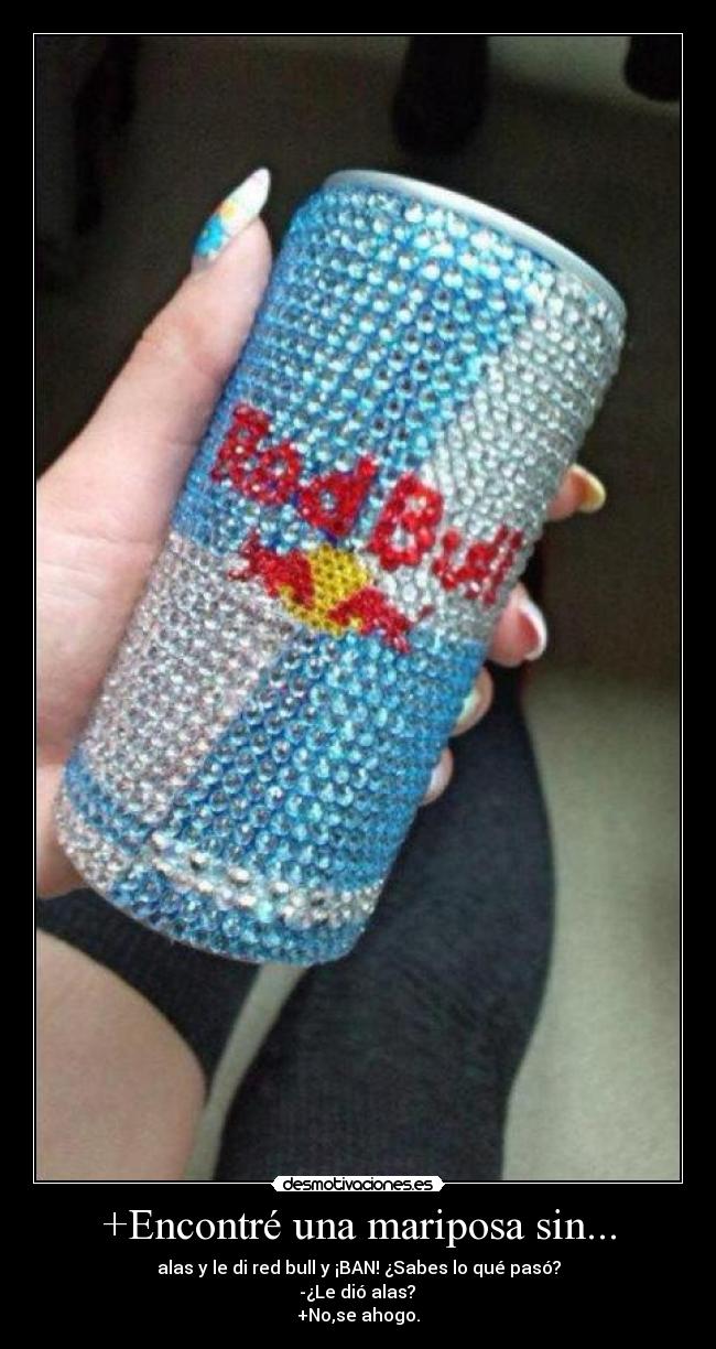 +Encontré una mariposa sin... - 