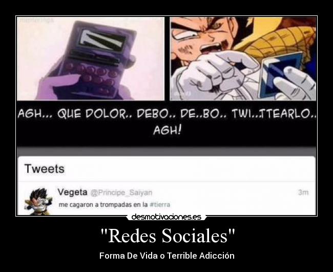 Redes Sociales - 