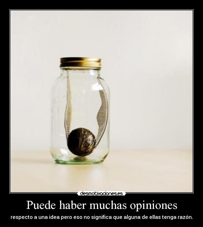 Puede haber muchas opiniones - 